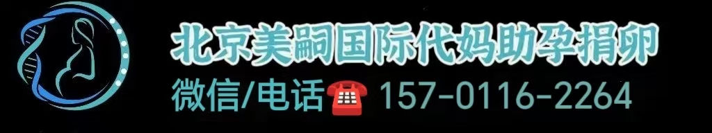 好运代怀孕集团
